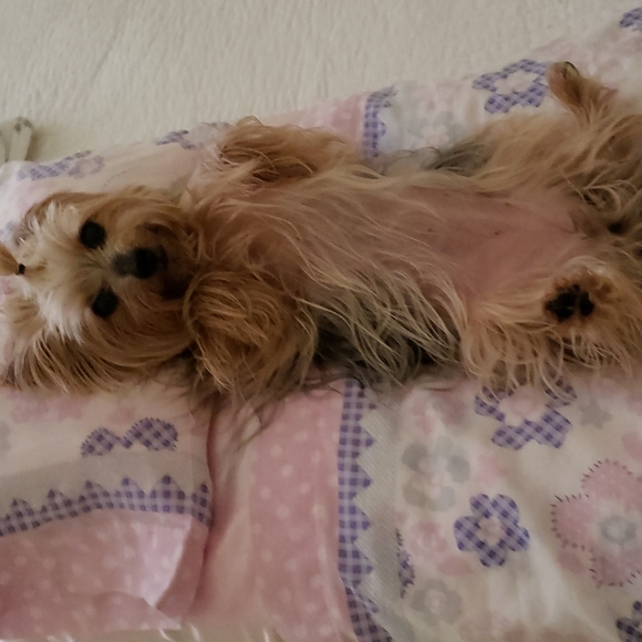 Massy xoxo ♡ - Picture 16 of 16